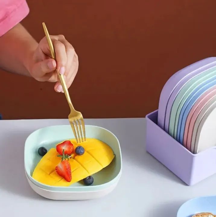 10-Piece Square Plastic Dinner Plate Set with Stand – Colorful Snack & Breakfast Plates