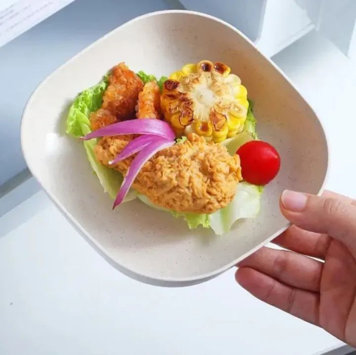 10-Piece Square Plastic Dinner Plate Set with Stand – Colorful Snack & Breakfast Plates